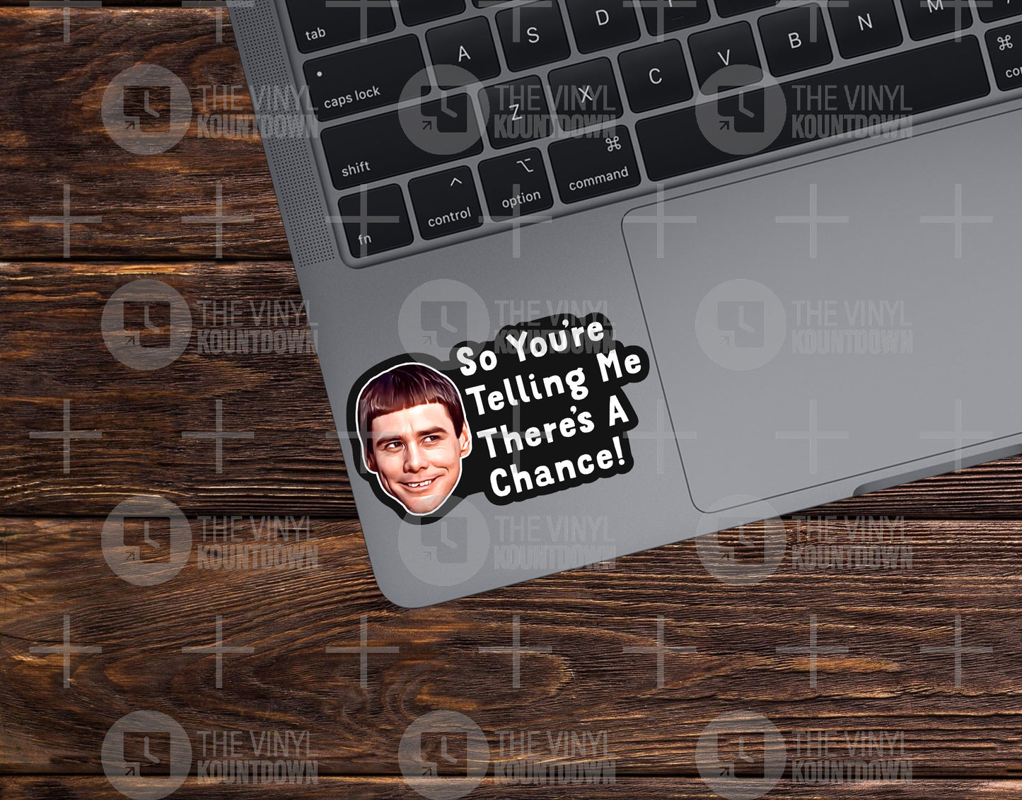 So You're Telling Me There's a Chance | Funny Dumb & Dumber, Lloyd Christmas Sticker For Bottle, Flask, Cup, Planner, Hard Hat | High Quality Vinyl Sticker