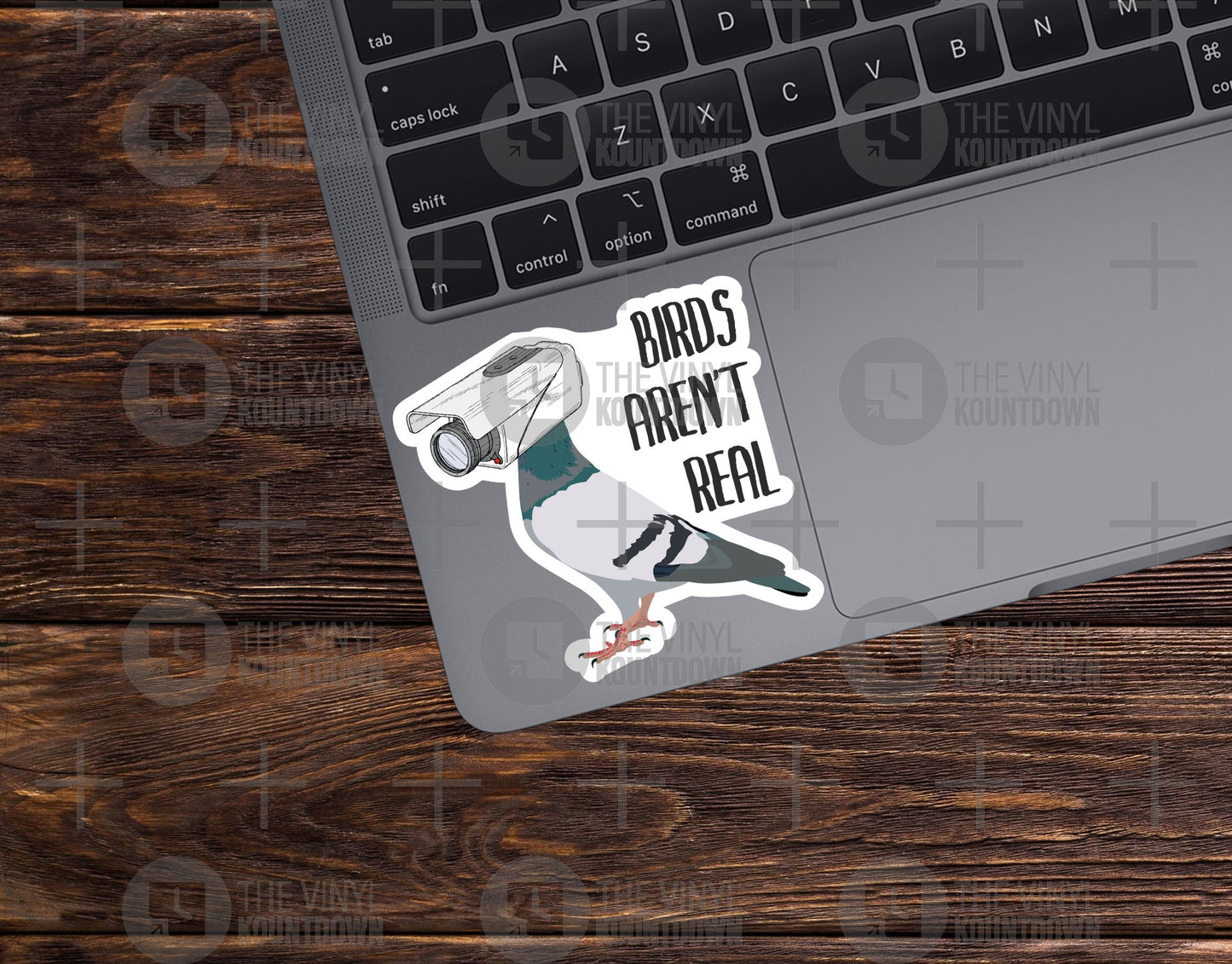 Birds Aren't Real | Funny Conspiracy Theory Surveillance Sticker for Laptop, Bottle, Toolbox, Hard Hat, Tumbler| High Quality Vinyl Sticker