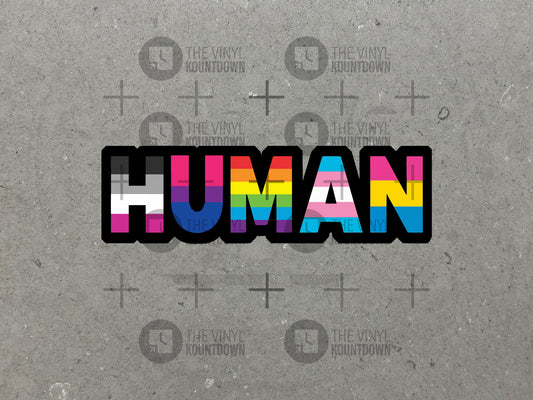 Human | Pride Rainbow Sticker | Equality | Liberal, Democrat, BLM, LGBTQ+, Pro Diversity, Equity, Inclusion | High Quality Vinyl