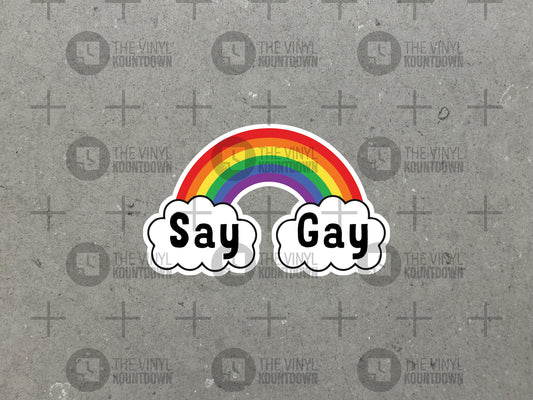 Say Gay | Ron DeSantis Sucks | PRIDE!!! | Liberal, Social Justice BLM, LGBTQ+, Pro Diversity, Equity, and Inclusion | High Quality Vinyl